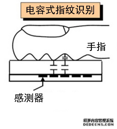 指紋識別系統(tǒng)